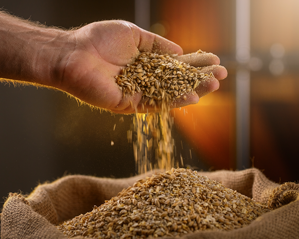 close up photo of a brewer's hand checking a sack of crushed grain, showing the motion of graon dropping